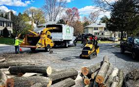 Best Fruit Tree Pruning  in Red Bank, TN
