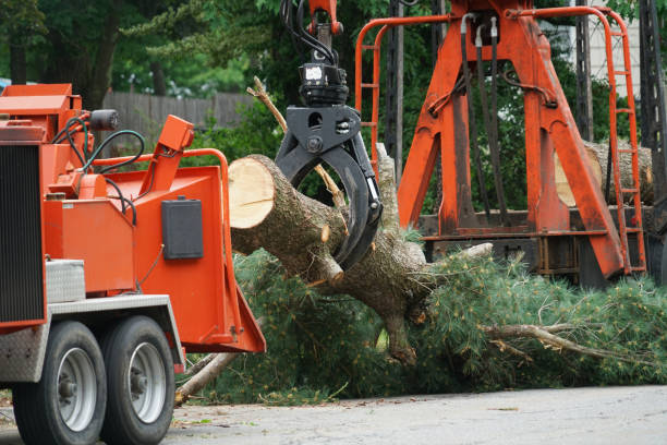 Best Utility Line Clearance  in Red Bank, TN