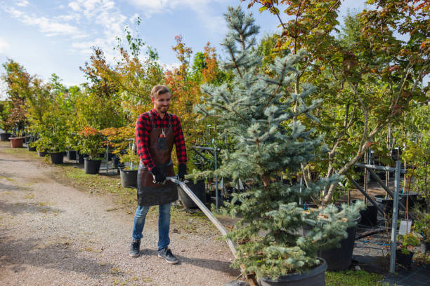 Professional Tree Removal in Red Bank, TN